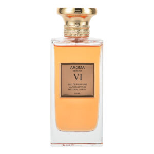 ادوپرفیوم زنانه ارورواسنتس مدل AROMA VI حجم 100 میلی‌لیتر